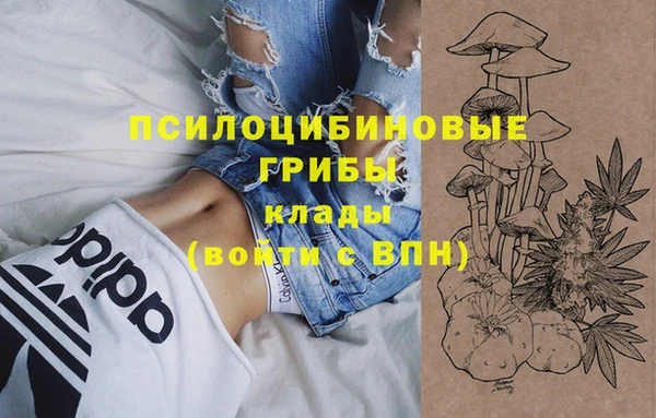 дживик Вязники