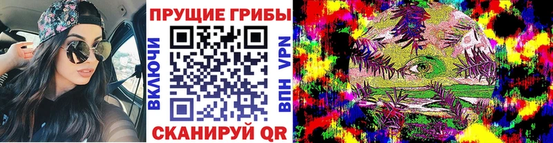 Галлюциногенные грибы GOLDEN TEACHER  Купить  Талдом 